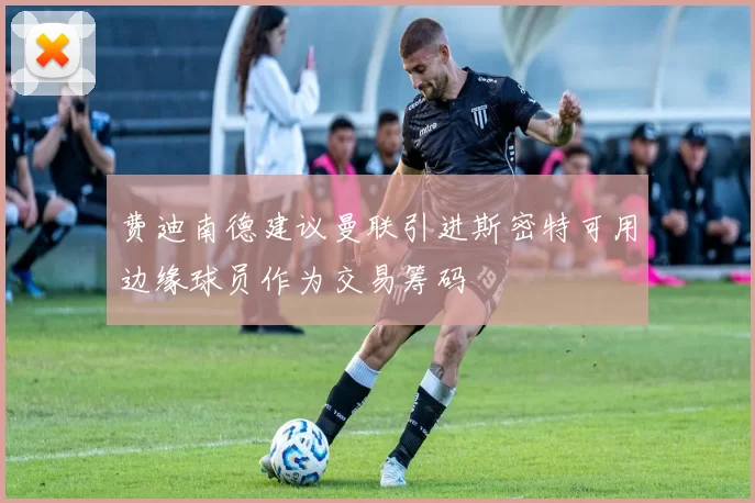 费迪南德建议曼联引进斯密特可用边缘球员作为交易筹码